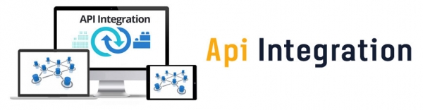 XML API Integration 