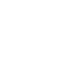 Live Chat